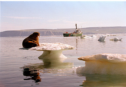 Un glacier du Groenland fond 3 fois plus vite depuis 15 ans