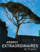 « Le tour de France des arbres remarquables »