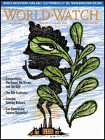 L&rsquo;Etat de la Planète Magazine – N°26 Mars – Avril 2006