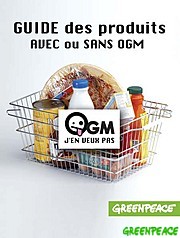 Un test OGM pour reconnaître un maïs génétiquement modifié