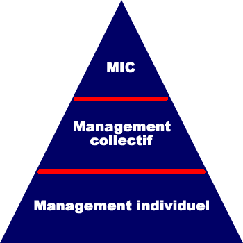 pyramide_management.gif