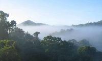 Le projet de mine d&rsquo;or en Guyane de la société CBJ Caïman est officiellement gelé « jusqu&rsquo;à l&rsquo;issue du Grenelle de l&rsquo;environnement »