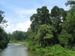 Regard critique sur la compensation CO2 | Triodos e-news Novembre 2007