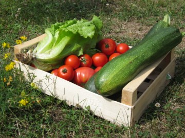 Trois projets pour relancer la consommation de fruits et légumes