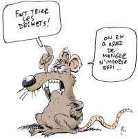 Spirou se met au vert : le blogécolo pour les enfants