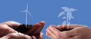 FEDERE 2008 – Changement climatique et responsabilité sociale : quels choix stratégiques pour les entreprises ?