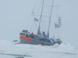 image : www.taraexpeditions. org