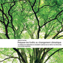 Télécharger le résumé du rapport “Adaptation des forêts et des populations au changement climatique – un bilan global”