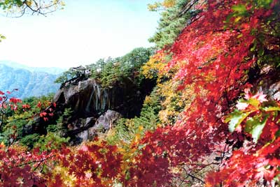 Mont Myohyang - © Mount Myohyang Biosphere Reserve