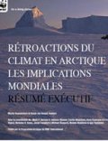 WWF : Les impacts mondiaux du réchauffement en Arctique dépassent les prévisions