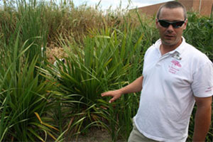 Yann Bazin, responsable technique de la Plantation d’Albion, gère les 3 000 m2 de « jardin tropical » qui assurent le traitement des eaux usées du Club (©Patrick Cros)