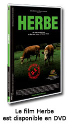 dvd-film-herbe