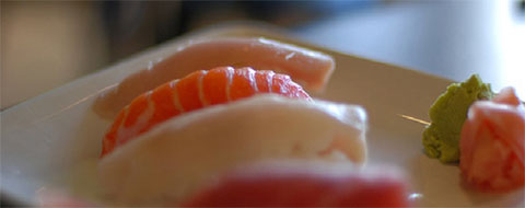 Global Sushi : demain nos enfants mangeront des méduses - CAPA