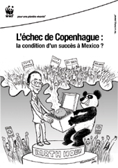 L'Échec de Copenhague, la condition d'un succès à Mexico ?