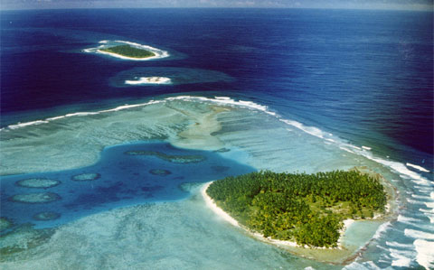 Middle Brother Island, Chagos Archipelago - credit Anne & Charles Sheppard