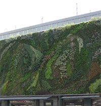 Le mur végétal des Halles d'Avignon