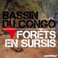 Bassin du Congo : forêts en sursis