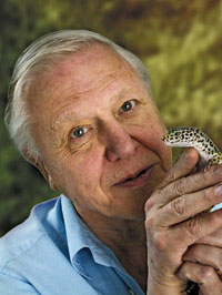 David Attenborough