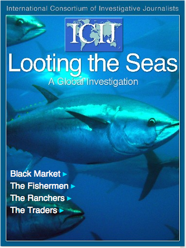 L'enquête d’ICIJ sur la pêche illégale du thon rouge