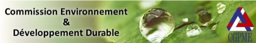CGPME - Commission Environnement & Développement Durable