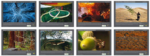 Une collection d’affiches pédagogiques sur la forêt offerte à tous les établissements scolaires dans le monde par GoodPlanet