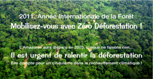 Ralentir le changement climatique avec Zéro Déforestation