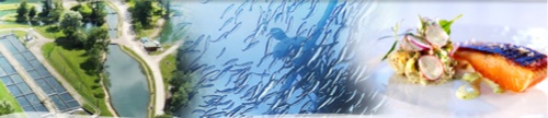 www.aquaculturedenosregions.com