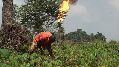 Les gaz torches détruisent les récoltes des agriculteurs dans le delta du Niger.