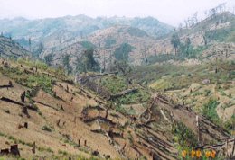 Ralentir le rythme de la déforestation avec ARCANATURA, au service de la santé animale