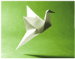 photo-origami-EF