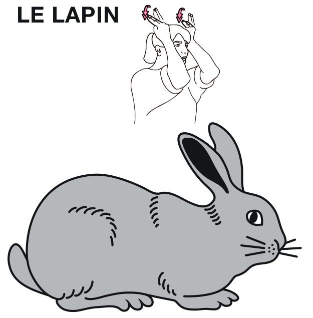 Le_lapin_ARENE_IDF_outils_.jpg