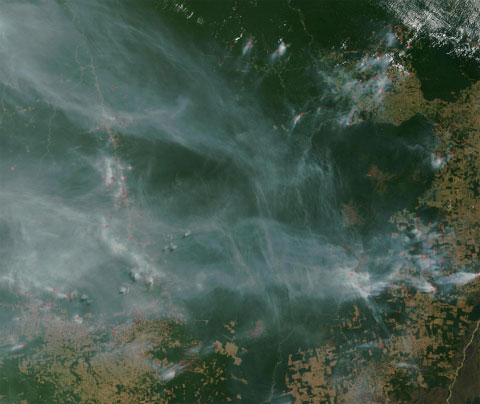 Photo satellite des feux de déforestation dans le Mato Grosso, Brésil – NASA.