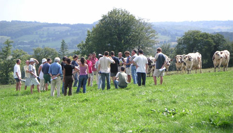 Les pieds dans l'herbe : réunion du RAD en Basse-Normandie (photo RAD).