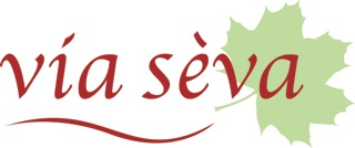 Logo_via_seva.jpg