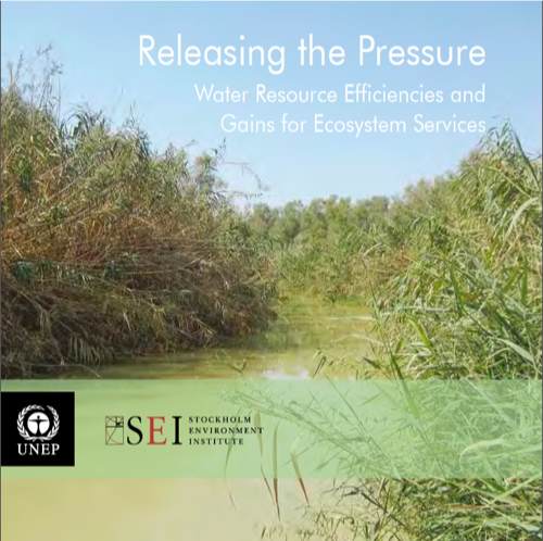 Télécharger Releasing the Pressure: Water Resource Efficiencies and Gains for Ecosystem Services