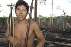 Un Indien awá dans sa forêt incendiée. © Survival