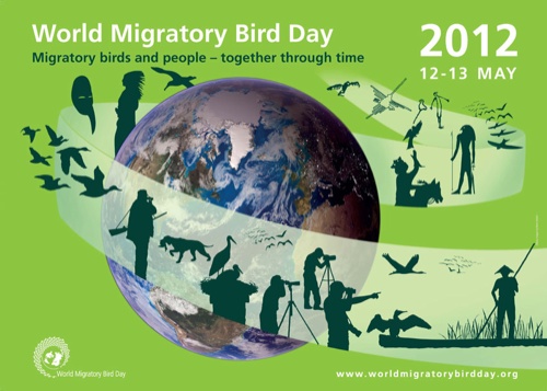 Journée mondiale des oiseaux migrateurs 2012
