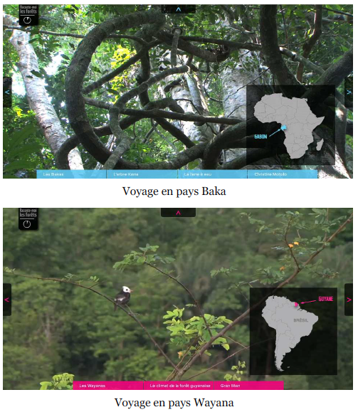 « Raconte-moi les forêts » - 1er webdoc WWF
