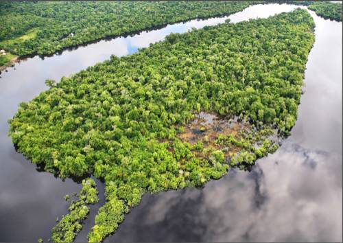 Raconte-moi les forêts » - 1er webdoc WWF