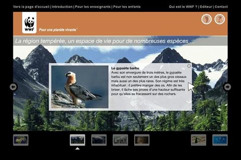 « Explore ta planète », le nouveau site d’animation pédagogique du WWF pour sensibiliser le jeune public à l’environnement