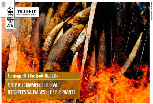 © WWF-Canon / James Morgan - Stop au commerce illégal d’espèces sauvages