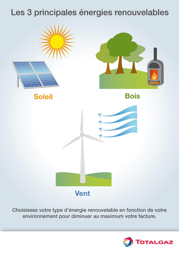Les trois principales énergies renouvelables - Source : TotalGaz