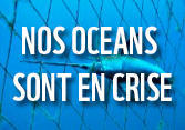 Nos océans sont en faillite : les décideurs ne suivent qu'une fois sur dix les recommandations scientifiques selon une analyse du WWF intitulée « De la surpêche légale ! »