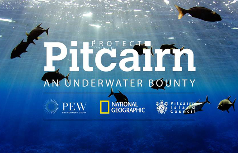 Les Îles Pitcairn identifiées par Global Ocean Legacy comme possible réserve marine de grande échelle
