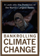 Bankrolling Climate Change