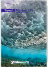 Tuvalu Marine Life