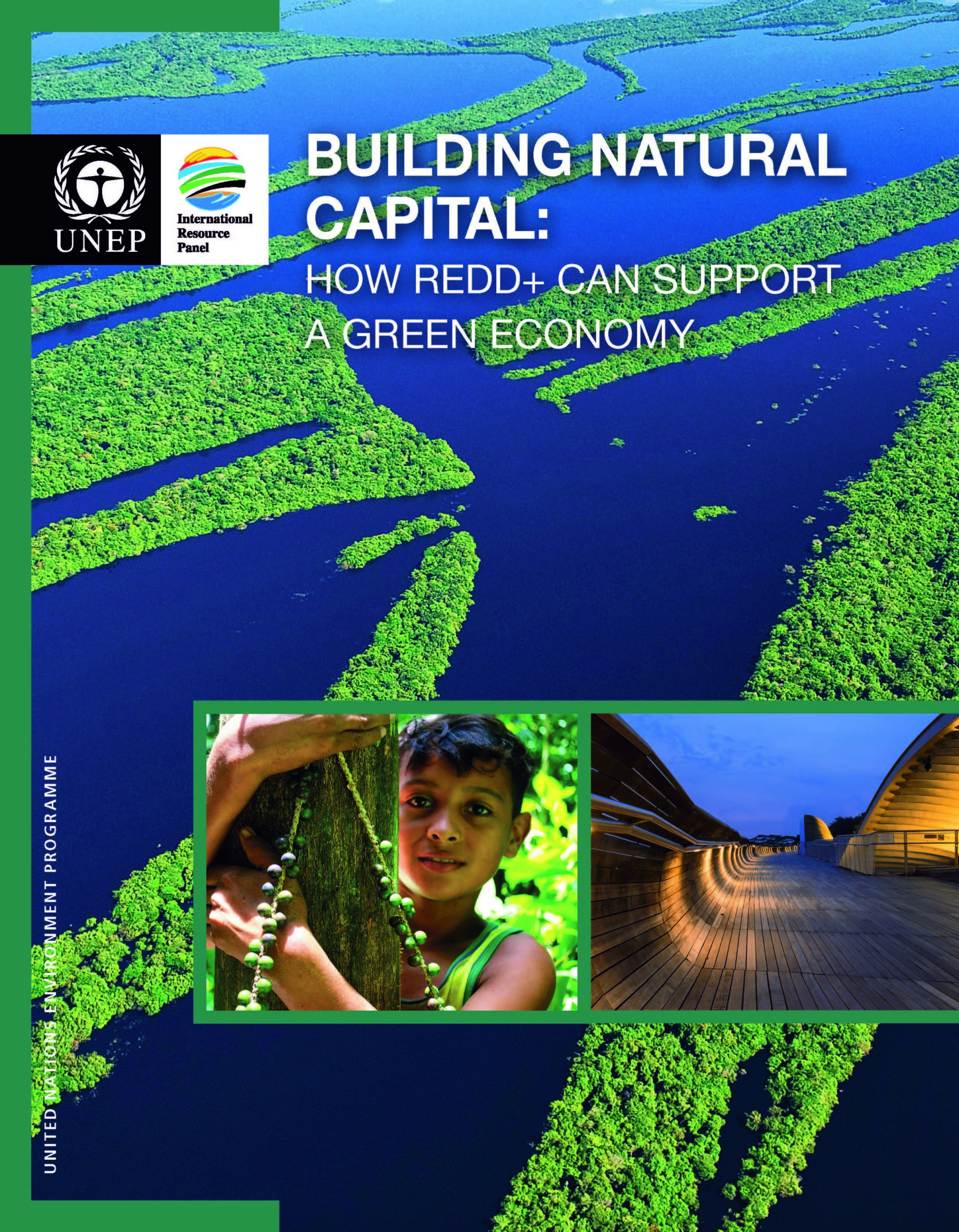 Mettre en valeur le capital naturel : le soutien que l’initiative REDD+ peut apporter à l’économie verte