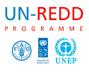 Programme ONU-REDD
