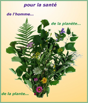 www.cultivonsnosjardins.fr