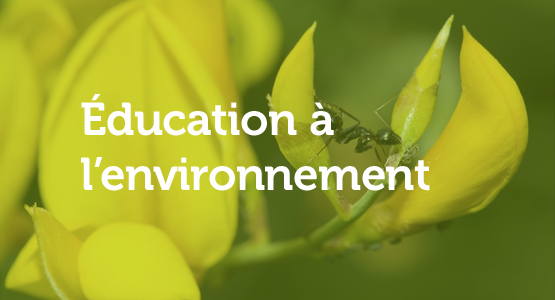 Fondation EDF - Education à l'environnement